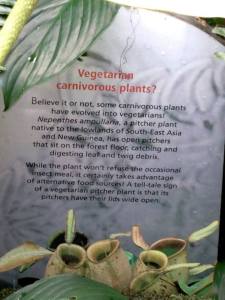 even carnivorous plants have decided to go vegetarian