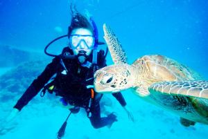 me with the sea turtle